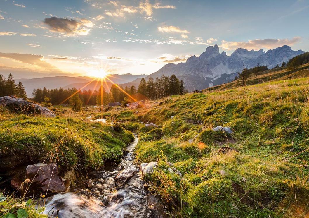 Farm stay Mittersteghof,
