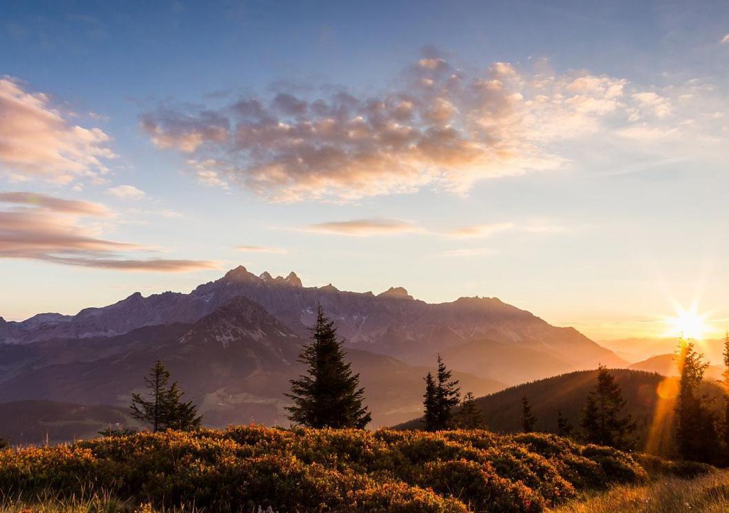 Mittersteghof, *